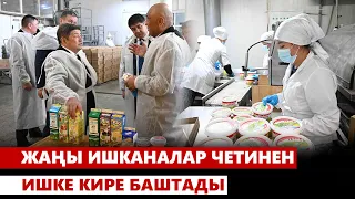 Жаңы ишканалар четинен ишке кире баштады