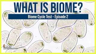 Ep 2: What Are the Five Uglies in the Ugly Stage? Can We Biome Cycle Our Way Around Them?