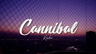 Cannibal - Kesha | Tiktok | World Scape | Aesthetic Lyrics