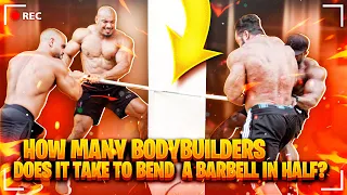 HOW MANY BODYBUILDERS DOES IT TAKE TO BEND A BARBELL?