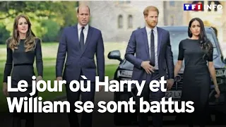 "Il m'a jeté au sol" : le jour où Harry et William se sont battus