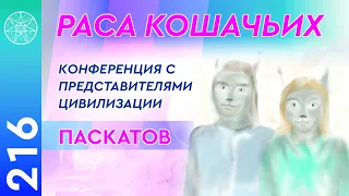 #216 Раса Кошачьих - конференция с представителями цивилизации Паскатов.