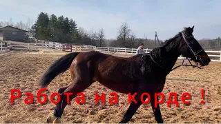 Работа с лошадью на корде ! Учим бегать галопом рысака из качалки .