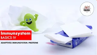 Immunsystem Basics IV: Adaptive Immunität - Proteine