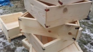 #1. Пасіка 200-і бджолородин у Стефанко Михайла