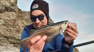 PECHE hivernale du bord au flotteur et à fond