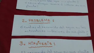 Ejemplo de una Indagación Científica I