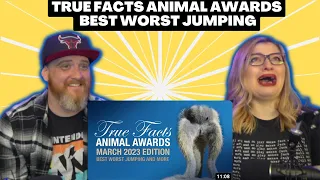 True Facts Animal Awards: Best Worst Jumping and More @zefrank | HatGuy & @gnarlynikki React