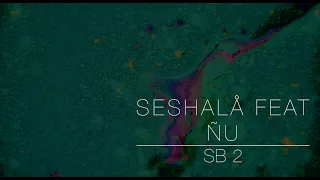 Handpan relax trip psychedelic, SB 2 - Seshåla feat Ñu (album "Handpan Trip")