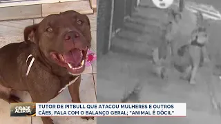 Tutor de pitbull que atacou mulheres diz que animal é dócil, em Franca