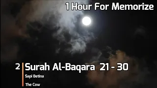 Murottal Al-Baqara 21 - 30 [1 Hour] "With Nature Sound" [Eng Subs] - For Memorize