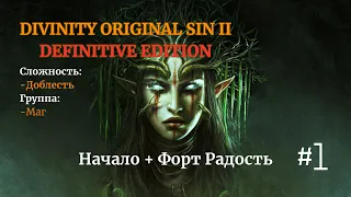 Divinity: Original Sin II [ DE ]. Соло. Сложность: Доблесть. #1