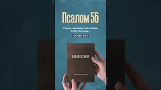 Псалом 56, стихи 8-12 | Моя Библия #Shorts