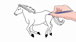 How to Draw a Horse Easy Step by Step