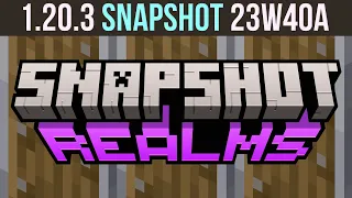 Minecraft 1.20.3 Snapshot 23W40A - Shield Movement Changes!