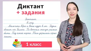 Диктант 1 класс плюс задания. Как научиться писать диктанты в 1 классе?