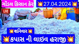 આજના કપાસ ના ભાવ | કપાસ ના બજાર ભાવ | cotton crop price | aaj na kapas na bhav Gondal 11 27/04/2024