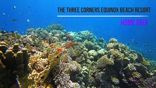 The Three Corners Equinox Beach Resort and house reef 2024 02 08