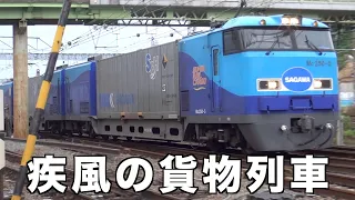 2022年6月11日撮影の疾風の貨物列車全38本　今回は関東近郊の各所で撮影！梅雨時のジメジメを吹き飛ばす大迫力のモーター音とジョイント音