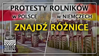 PROTESTY W POLSCE A PROTESTY W NIEMCZECH❓ | #hektarwiedzy