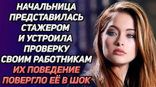 Начальница представилась стажером и пришла устраиваться на работу в свою же компанию.