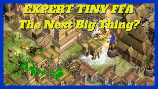 The Best Game Mode You've Never Heard Of | FFA Tiny Cast #1 #aom #ageofempires