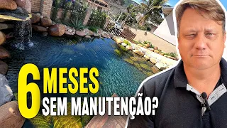 Piscina Natural com Hidromassagem e substrato escuro. Veja como ficou! [Visitando Lagos - Parte 02]