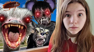 EVIL ANIMALS INVASION!