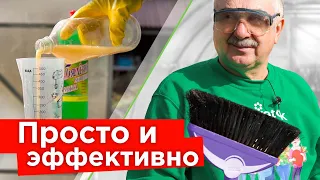 ЧЕМ ПОМЫТЬ ТЕПЛИЦУ ВЕСНОЙ, чтобы избавиться от болезней и вредителей? Просто, дешево, эффективно