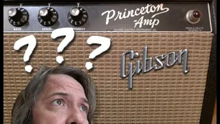 Fender Princeton DISGUISED as a Gibson Skylark