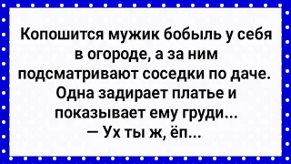 Соседка на Даче Показала Мужику! Сборник Свежих Анекдотов! Юмор!