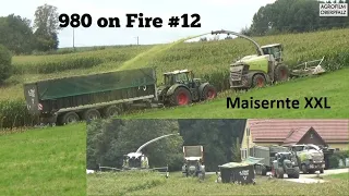 Steil, gigantisch, spektakulär - Claas Jaguar 980 - Maisernte XXL - Fendt Vario 942 - 980 on Fire#12