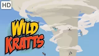 Wild Kratts - Tornadoes and Thorns: A Prairie Adventure