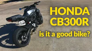 2019 Honda CB300R Review!! (2 Months of Ownership)