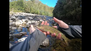 Two Day Back Country Hiking & Fly Fishing, Lee's Paddock,Tasmania