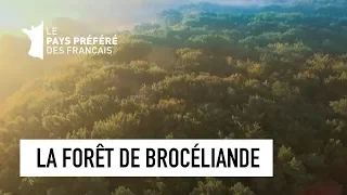 La Forêt de Brocéliande - Ille et Vilaine - Les 100 Lieux qu'il faut voir - Documentaire