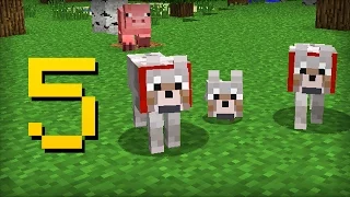 ✔ Minecraft - 5 Things You Didn't Know About the Wolf