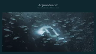 Jody Wisternoff & James Grant - Anjunadeep 05 CD1 (Continuous Mix)