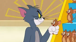 Gift Shop Mess | Tom and Jerry in New York | Cartoon Network