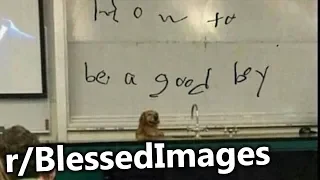 r/BlessedImages | How To Be A Good Boy 101.