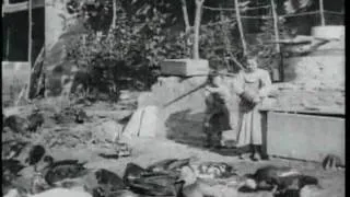 Poultry Yard (1895, Lumière, silent, DVD).avi