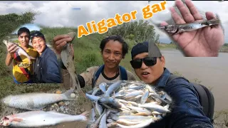 Rare ocean Aligator gar fish found in nepal🇳🇵