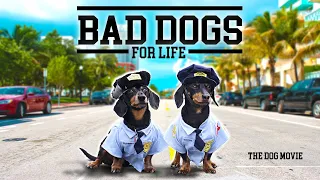 Ep#12: BAD DOGS FOR LIFE - The Wiener Dog Movie