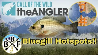 Hotspot Guide: Bluegill - Plus Hook Size, Bait and Lure!! | Call of the Wild: theAngler