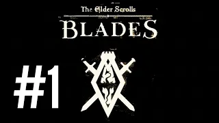 НАЧАЛО ПУТЕШЕСТВИЯ || The Elder Scrolls: Blades Прохождение #1