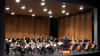 Nova Vista Symphony plays Harry Potter and the Sorcerer's Stone (excerpts)