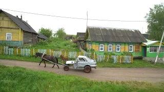 Horse-auto of Belarusian shepherd