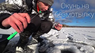 Безмотылка по первому льду | ловля окуня.