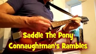 Mandolin - Saddle The Pony - Connaughtman's Rambles