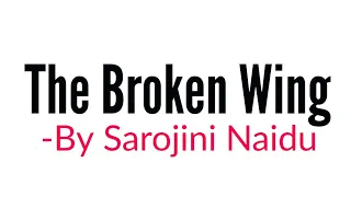 The Broken wing: Poem by Sarojini Naidu Summary Analysis and line by line explanation